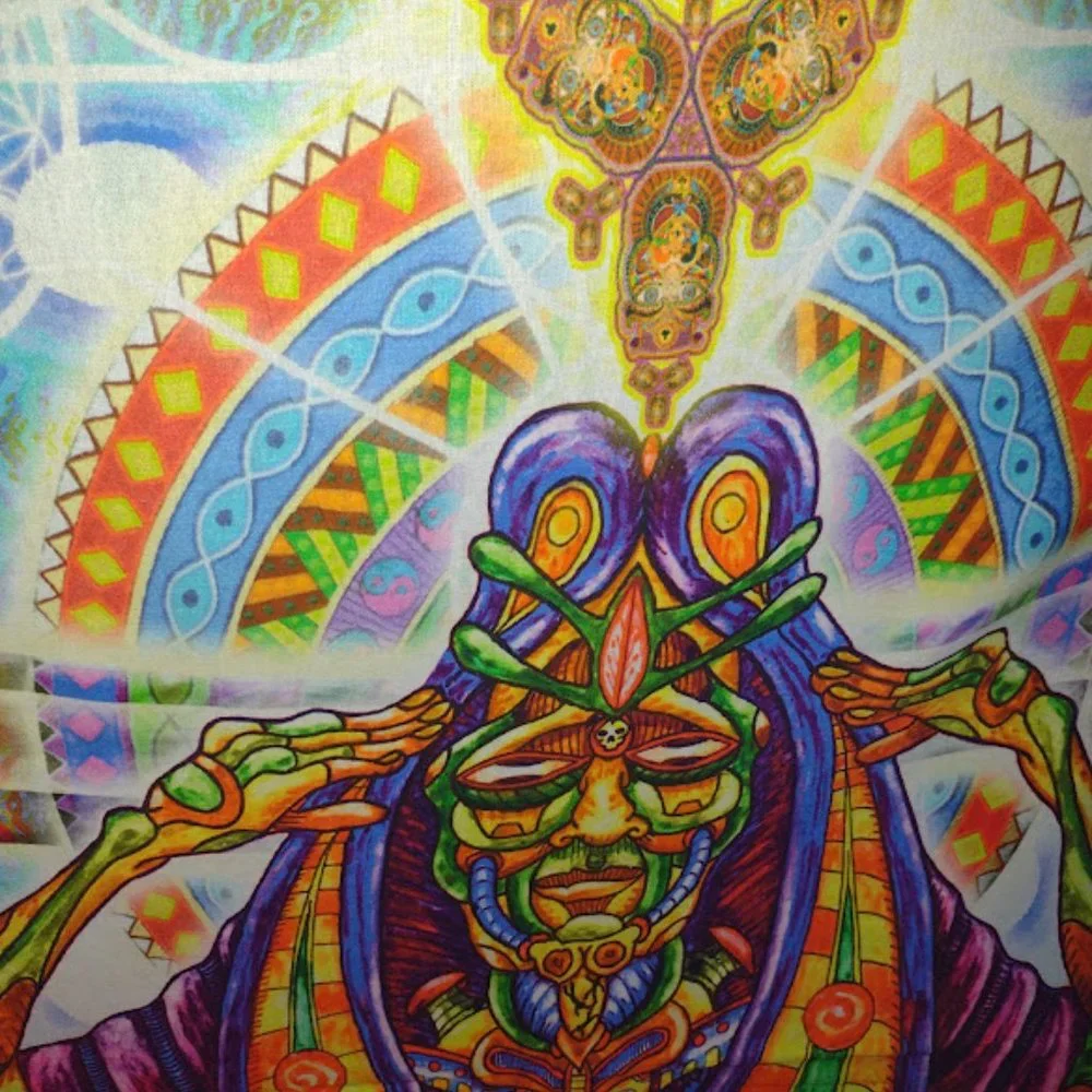 NWT Healing Fractal Wall Tapestry 53x85 Artwork by Chris Dyer 781003 Wall Decor